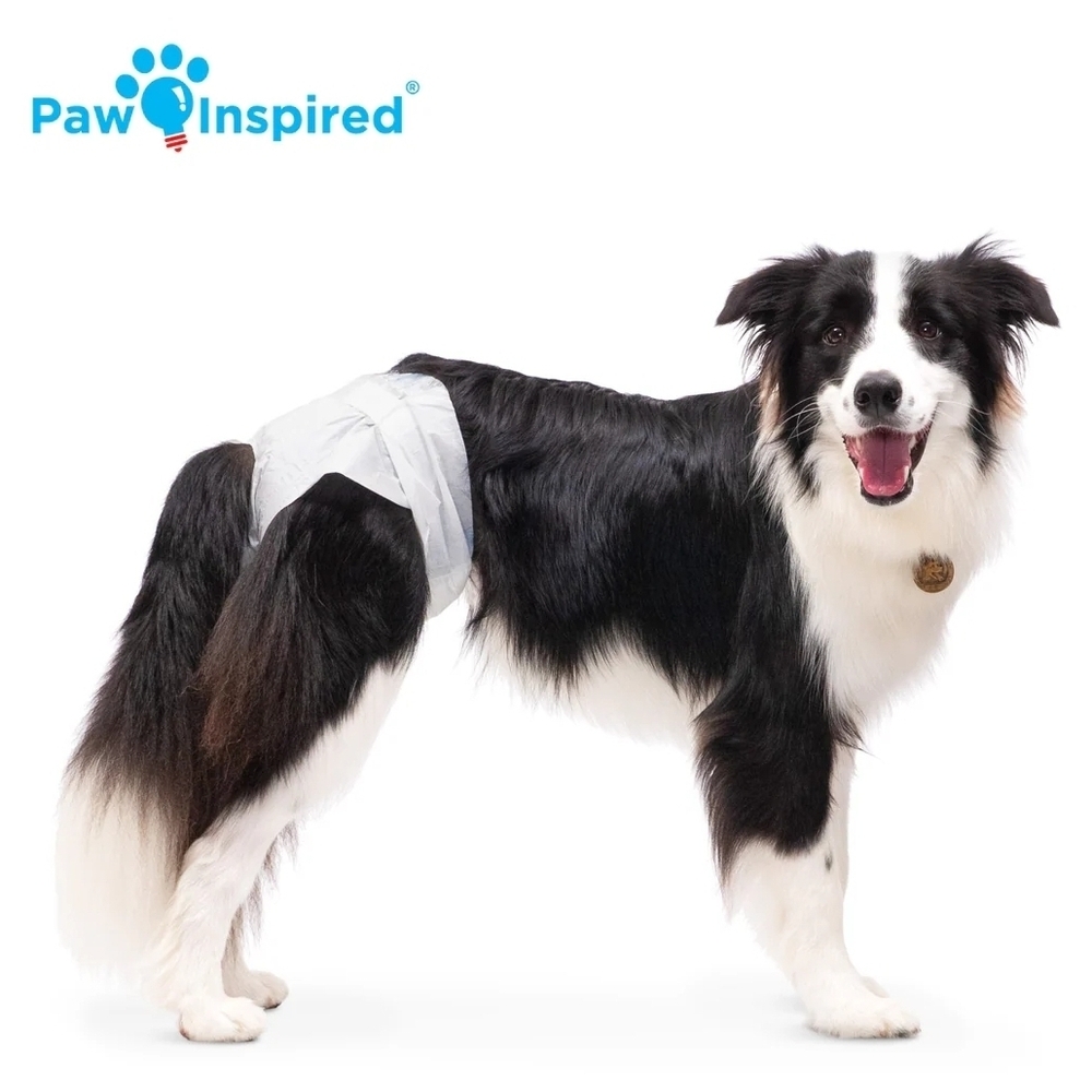 Paw Inspired NIP Dog Super Absorbent Disposable Diapers Size Large- 20ct - Picture 3 of 8